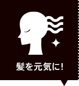 髪を元気に！